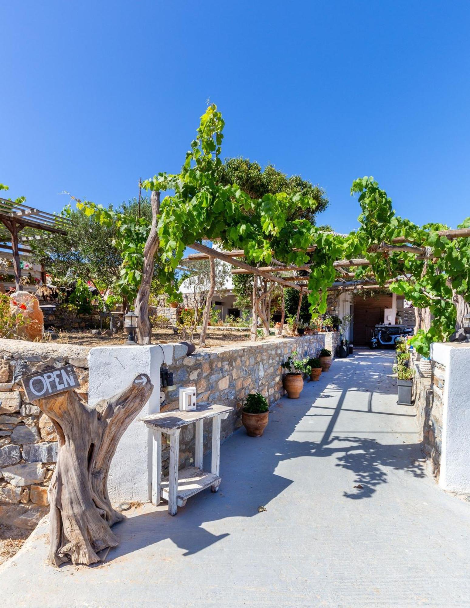 Hotel Harama Schoinoussa Bagian luar foto